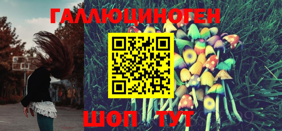 Галлюциногенные грибы Psilocybe  Усинск 